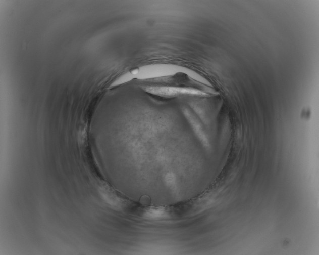 X0000090930177200708201837