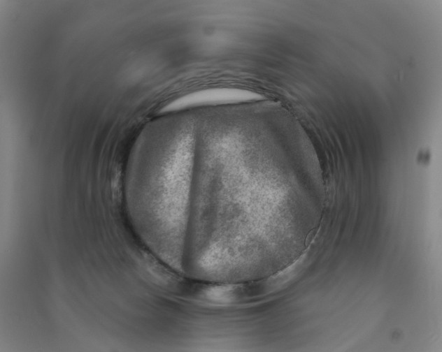 X0000090930178200708201837