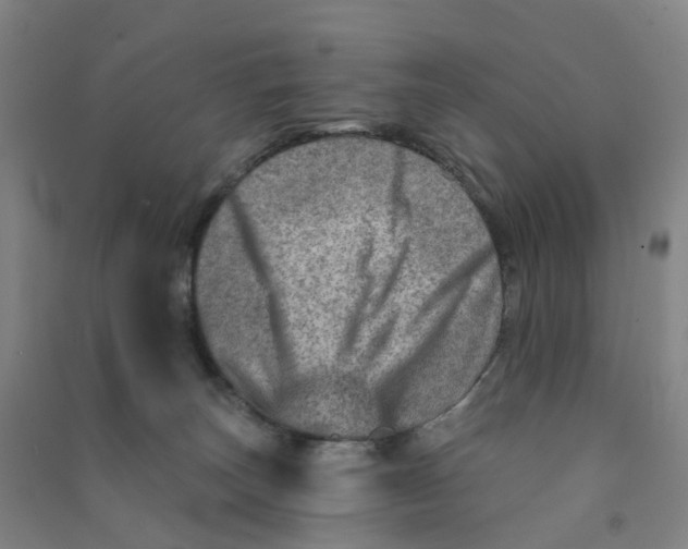 X0000090930179200708201837