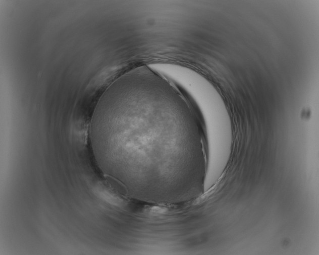 X0000090930180200708201837