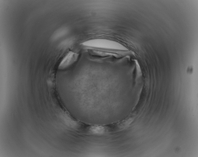 X0000090930181200708201837