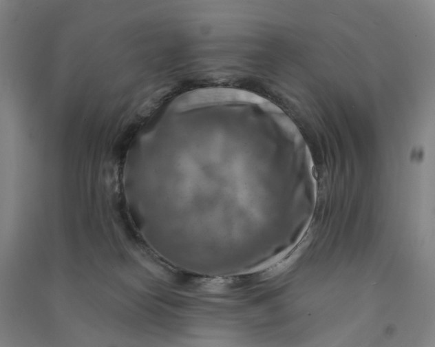 X0000090930182200708201837