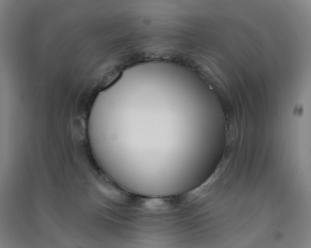 X0000090930183200708201837