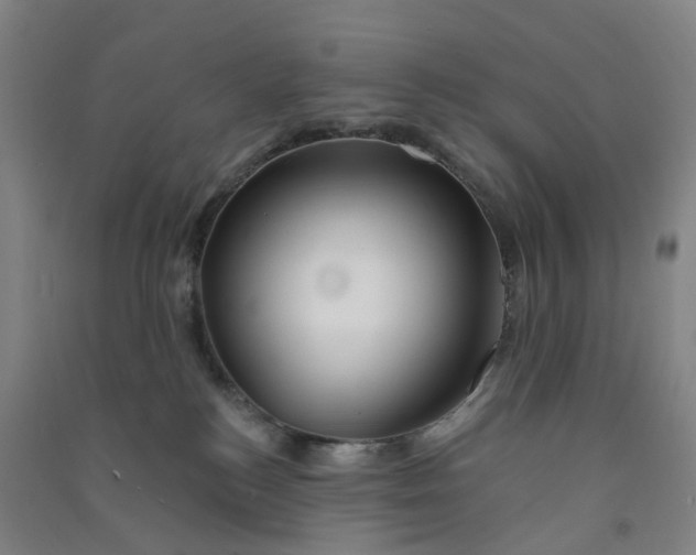 X0000090930184200708201837