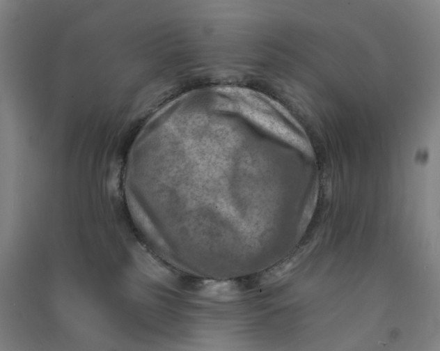 X0000090930185200708201837