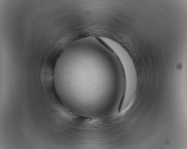 X0000090930186200708201837