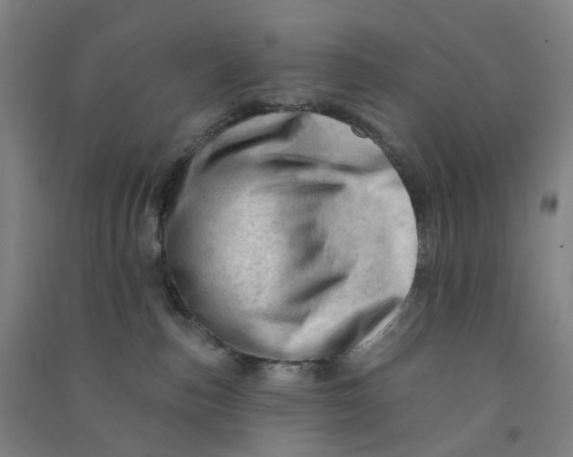 X0000090930187200708201837