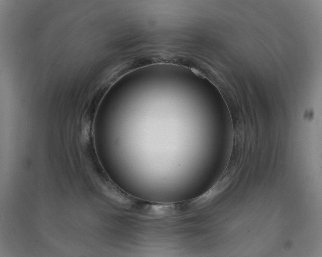 X0000090930188200708201837