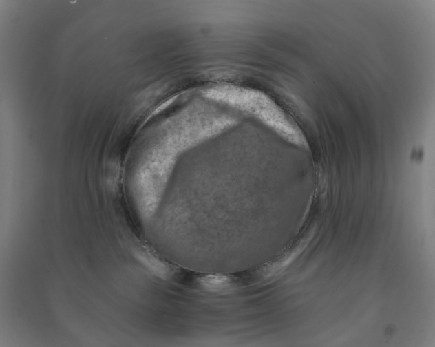 X0000090930189200708201837