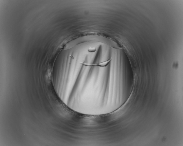 X0000090930190200708201837