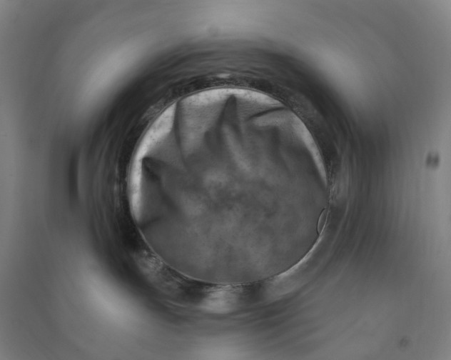 X0000090930191200708201837