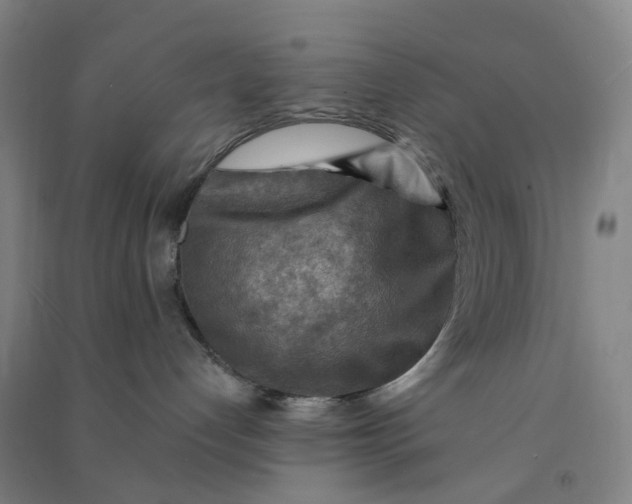 X0000090930192200708201837