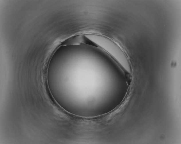 X0000090930193200708201836