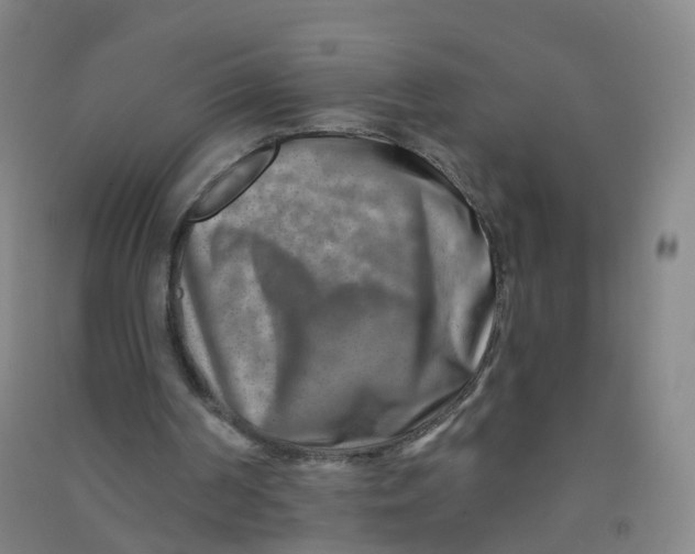 X0000090930194200708201836