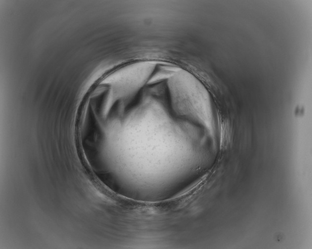 X0000090930195200708201836