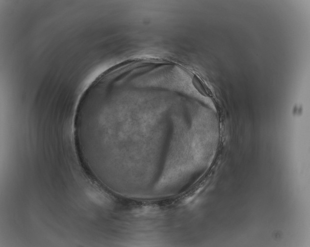 X0000090930196200708201836