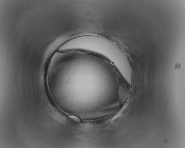 X0000090930197200708201836