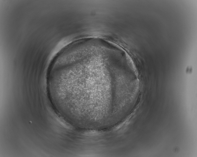 X0000090930198200708201836