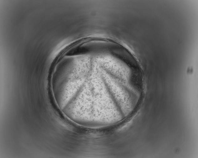 X0000090930199200708201836