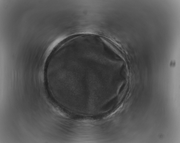 X0000090930200200708201836