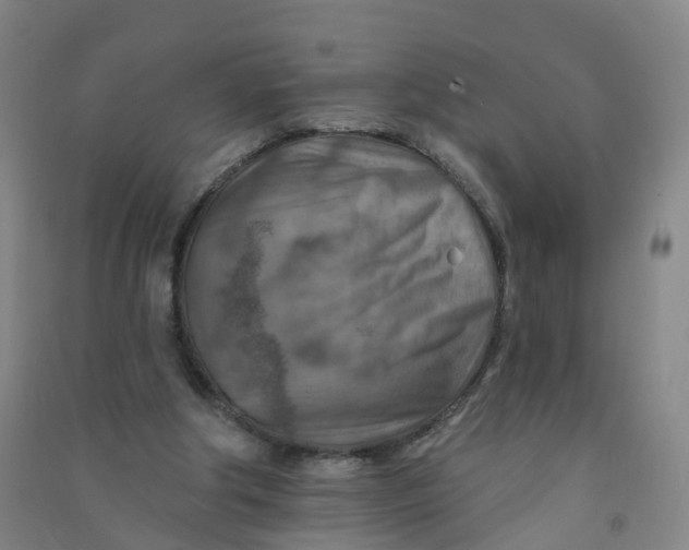 X0000090930202200708201836