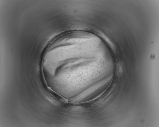 X0000090930203200708201836