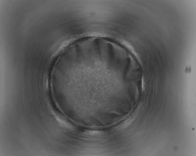 X0000090930205200708201836