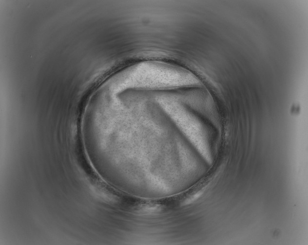 X0000090930206200708201836