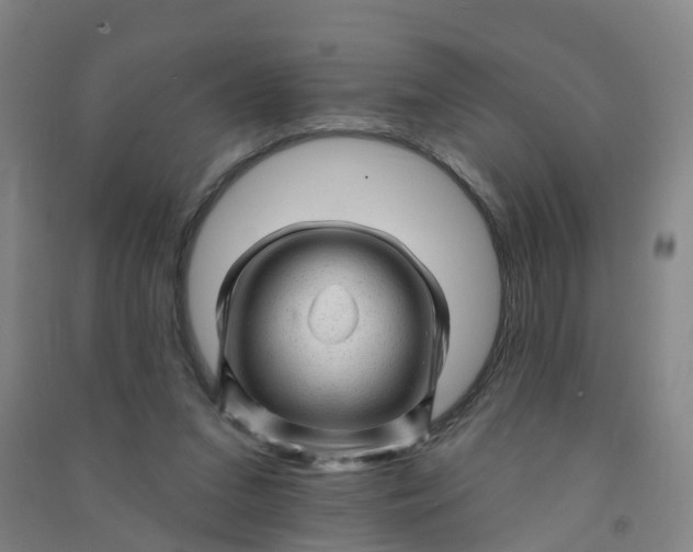 X0000090930207200708201836