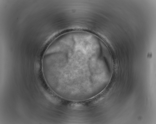 X0000090930208200708201836