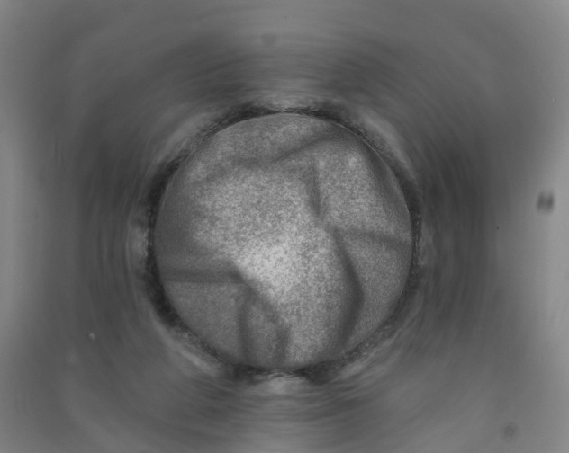 X0000090930210200708201836