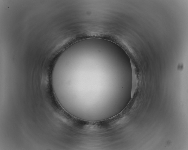 X0000090930211200708201836