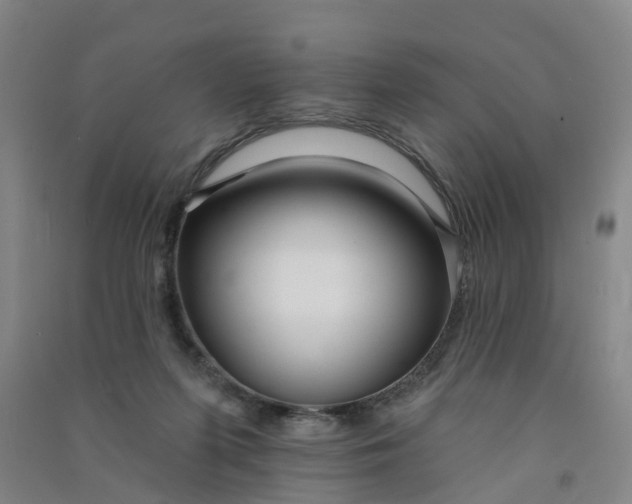 X0000090930215200708201836