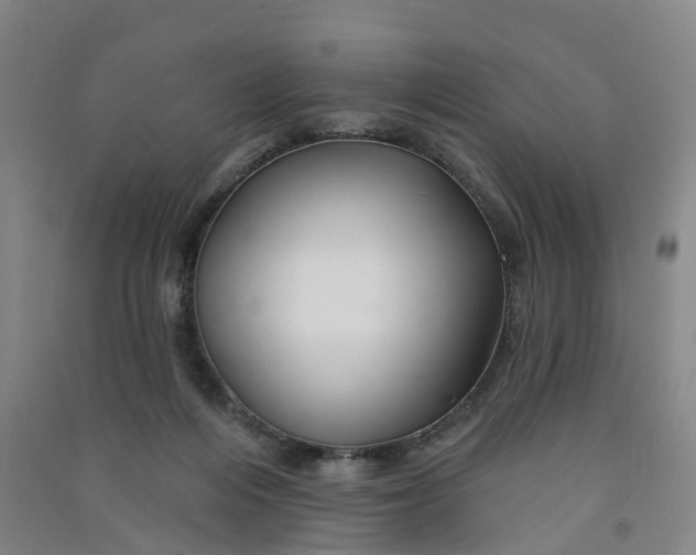 X0000090930216200708201836