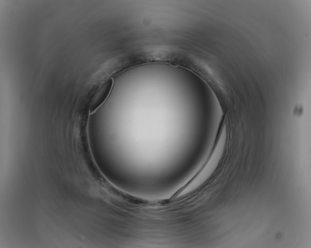 X0000090930217200708201836