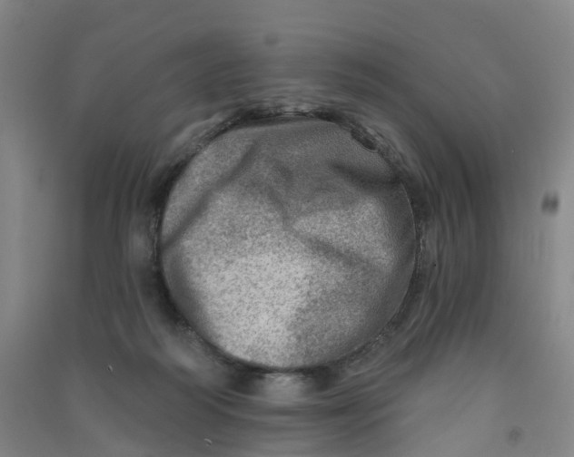 X0000090930218200708201836