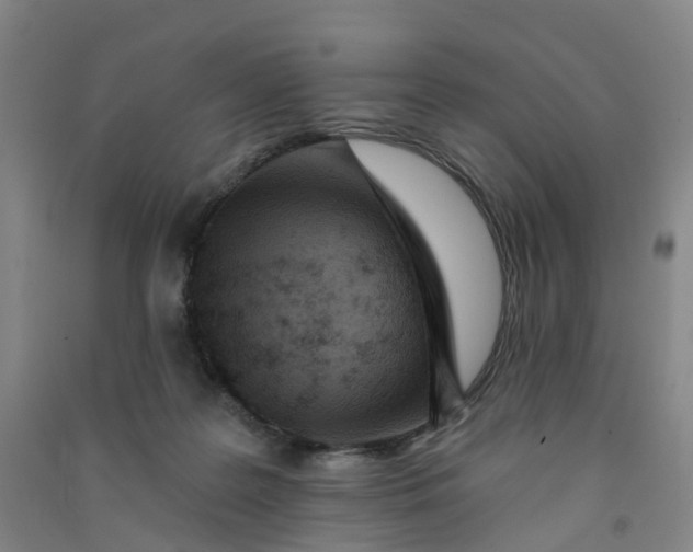 X0000090930219200708201836