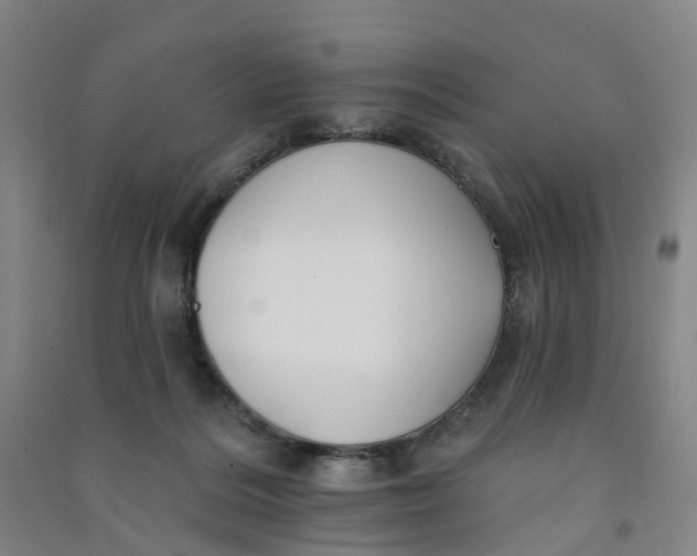 X0000090930220200708201836