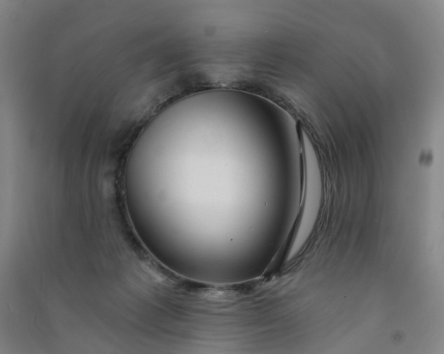 X0000090930221200708201836