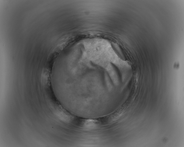 X0000090930222200708201836