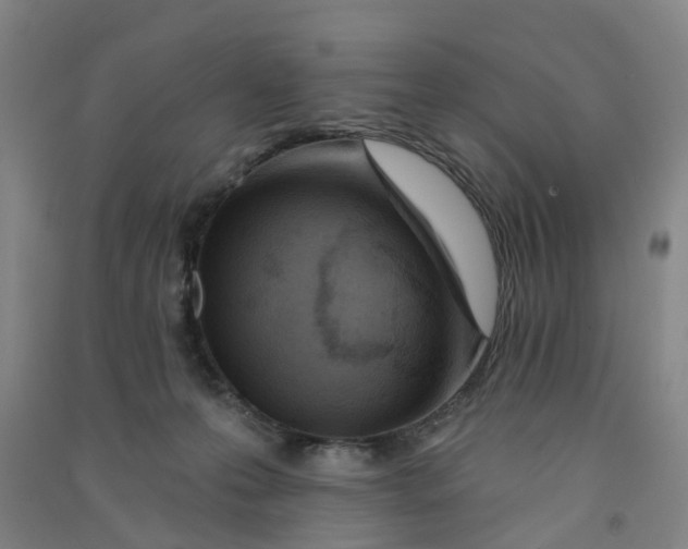 X0000090930223200708201836