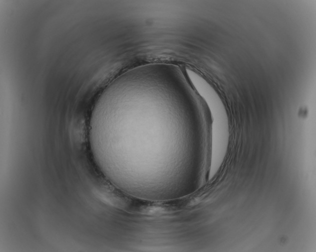 X0000090930224200708201836