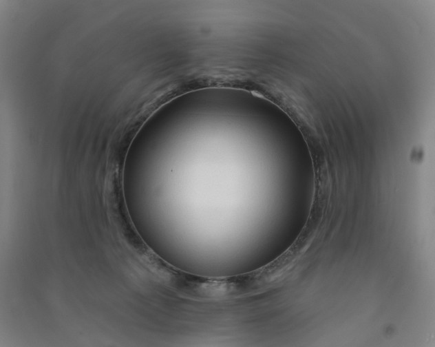 X0000090930225200708201836