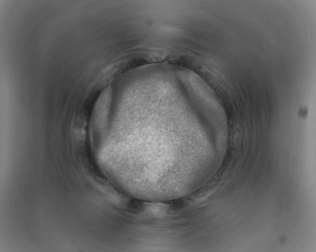 X0000090930226200708201836