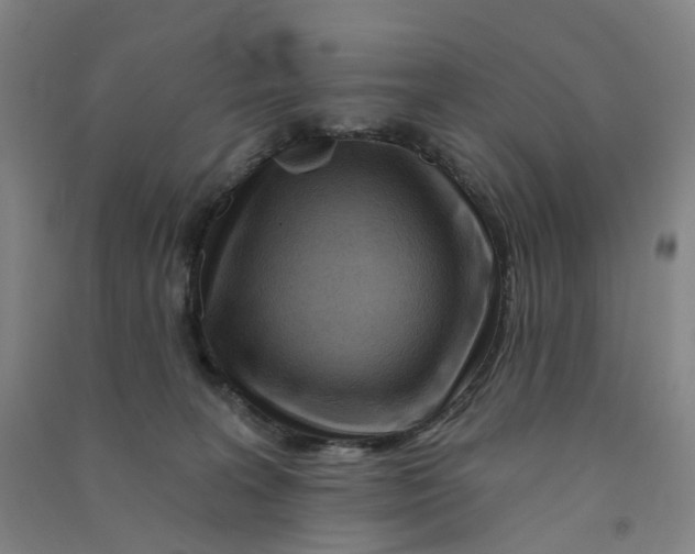 X0000090930227200708201836