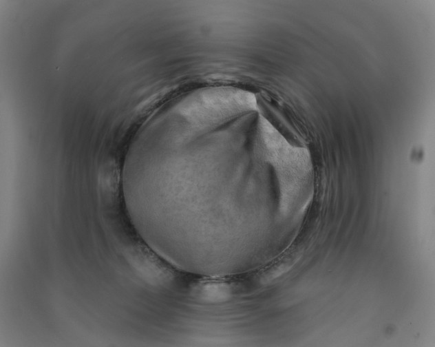 X0000090930228200708201836