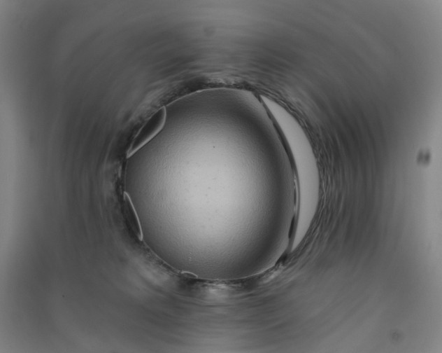 X0000090930229200708201836