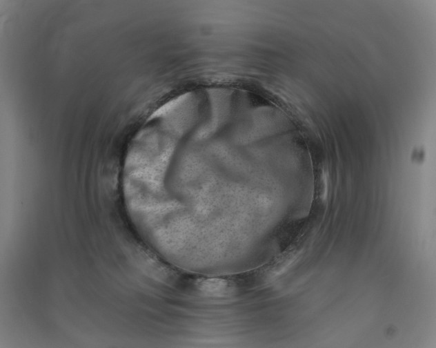 X0000090930230200708201836