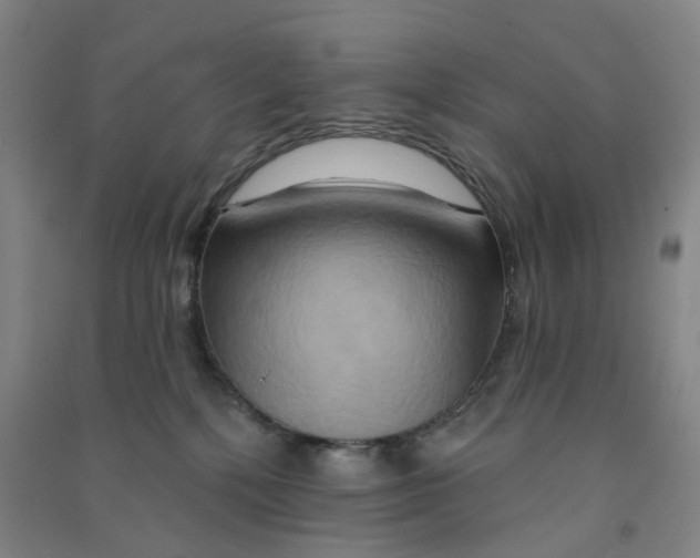 X0000090930232200708201835