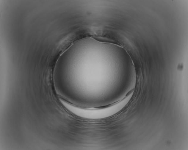 X0000090930233200708201835